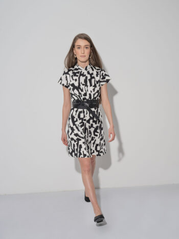 brush stroke dress chinese collar walking &bull; Sassa Björg