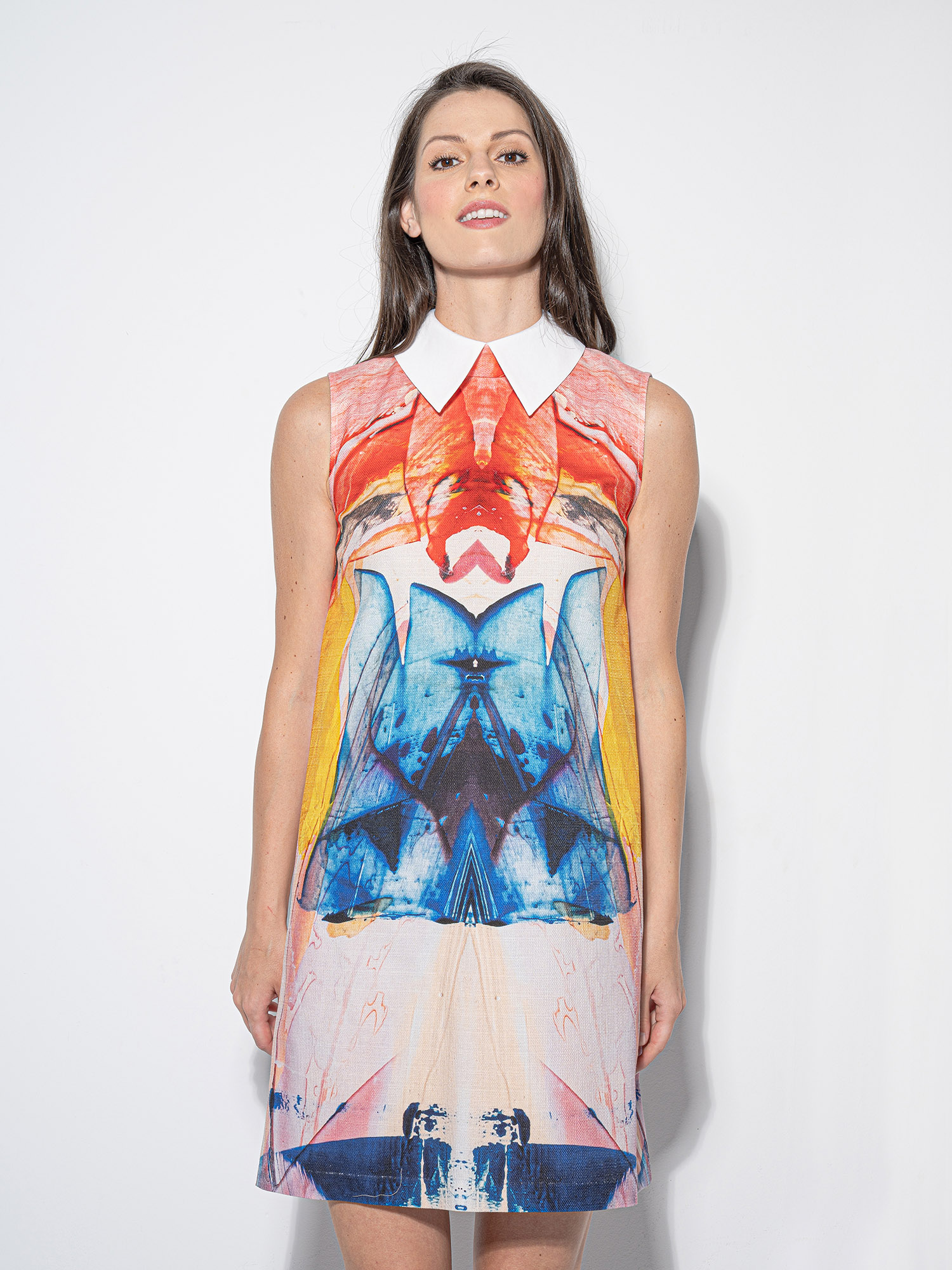 oil paint collage dress w collar crop &bull; Sassa Björg