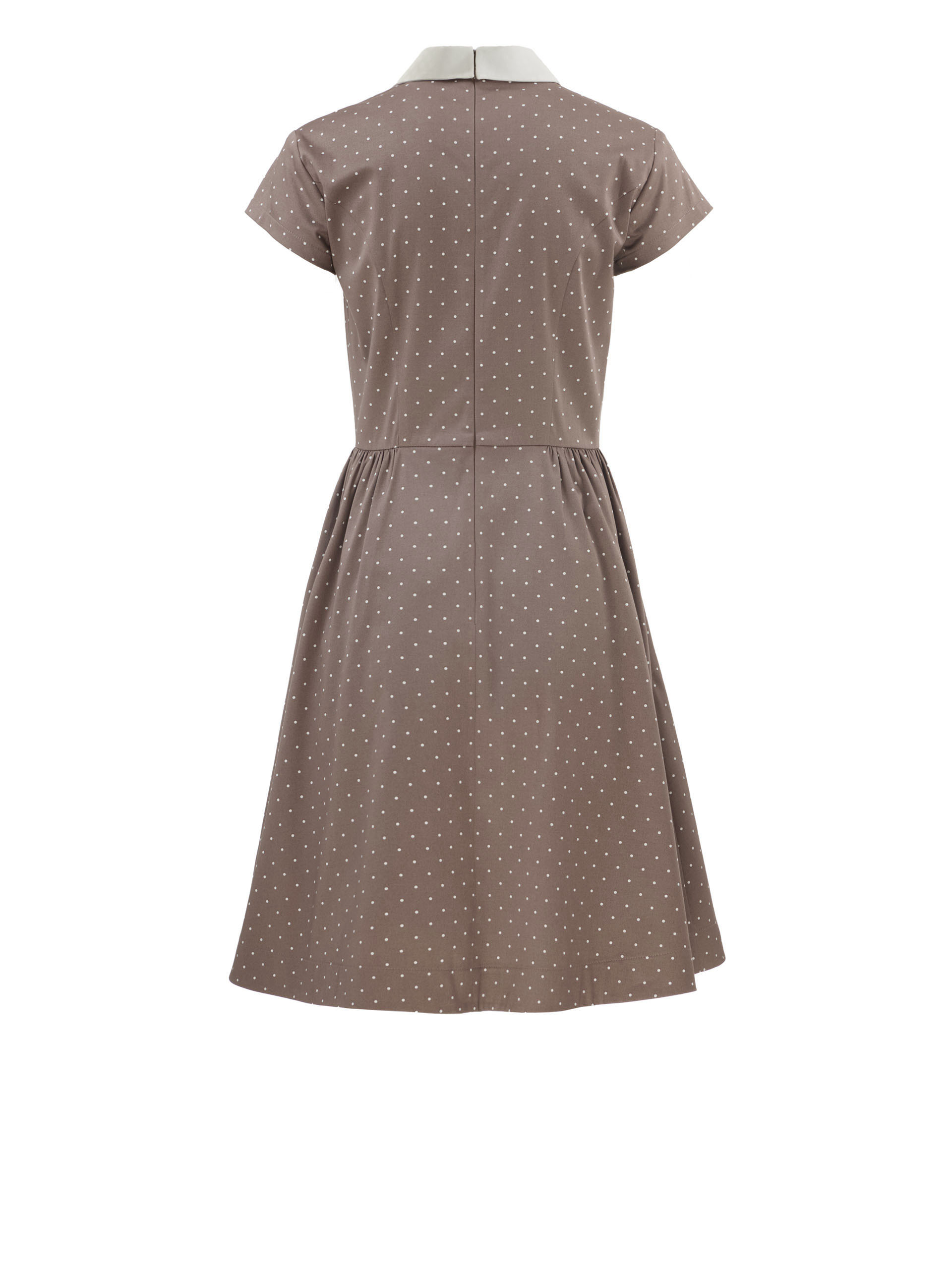 cappuccino collared midi dress back • Sassa Björg